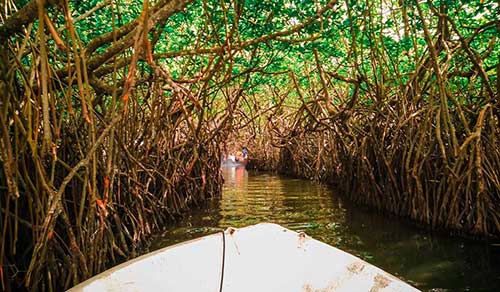 Boat Tour & Spice Garden