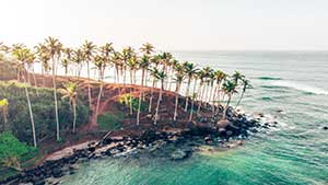 Coconut Tree Hill & Stilt Fishermen